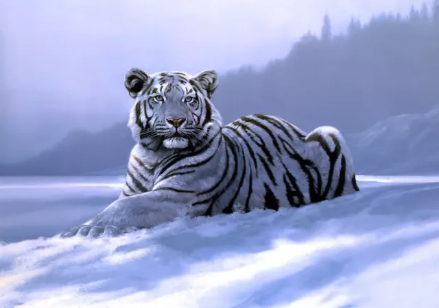 Art Hd Canvas Print White Tiger Oil painting printed on canvas L398