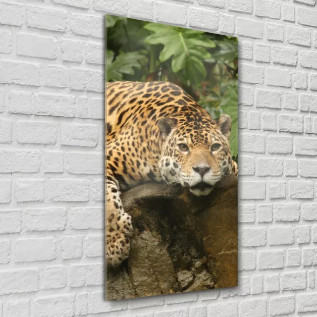 Glass Print Wall Picture 60x120 Big cat male jaguar Wildlife