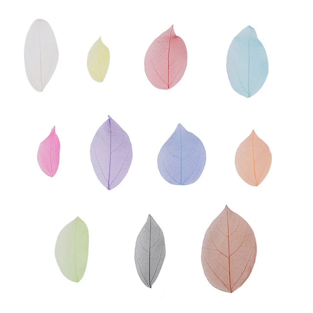 Árbol de madera suelta espécimen hojas artificiales relleno artesanal