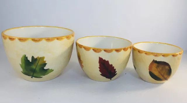 N-D Exclusive Autumn / Fall Leaf China Set of 3 Bowls Nested Kitchen Hand Paint