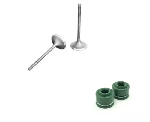 Kawasaki Ksf250 Mojave 1987-2004 Intake Exhaust Valve Set + Seals
