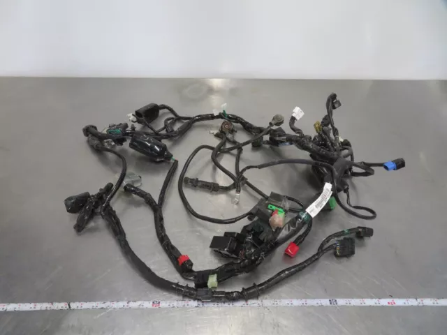 Eb1214 2017 17 Honda Crf 250 Rl Rally Wire Harness