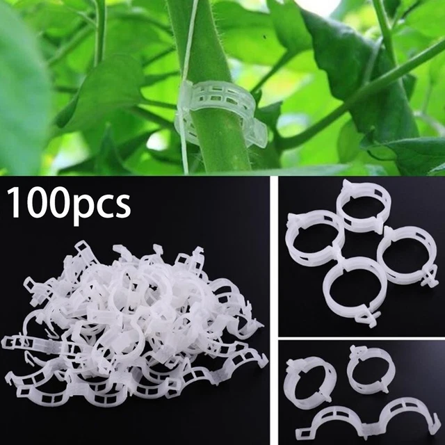 PLANTE CLIPS PINCES Support Treillis Ficelle Serre Fix Vigne Plastique ...