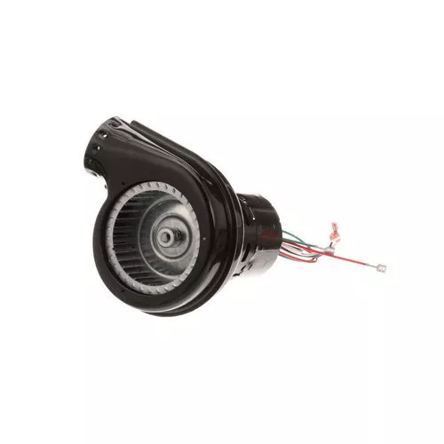 Burner Blower Motor 115V, 3100