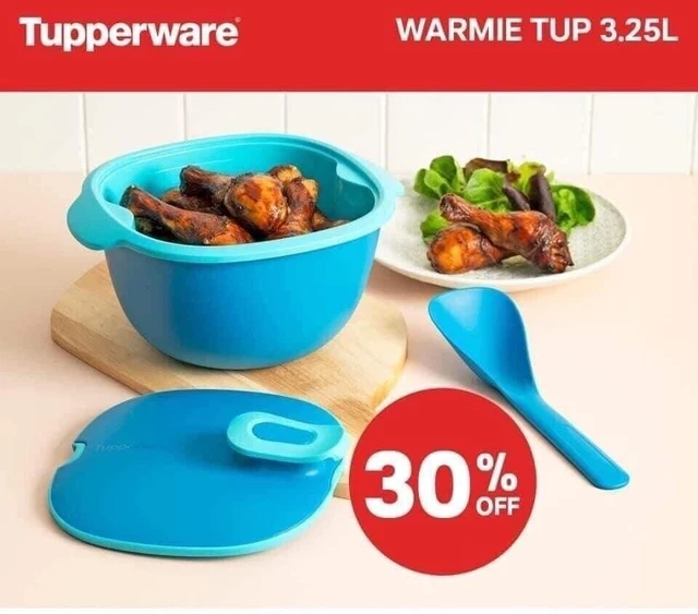 New Tupperware Insulated Oval Server Bowls Lids Spoon 5 Pc Lg Serving Set  4.3 L