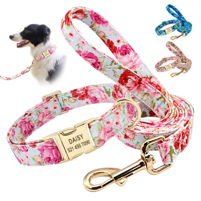 Collier et laisse de chien Personnalisé Nom Numero gravé Tour de cou 25-60cm DOG