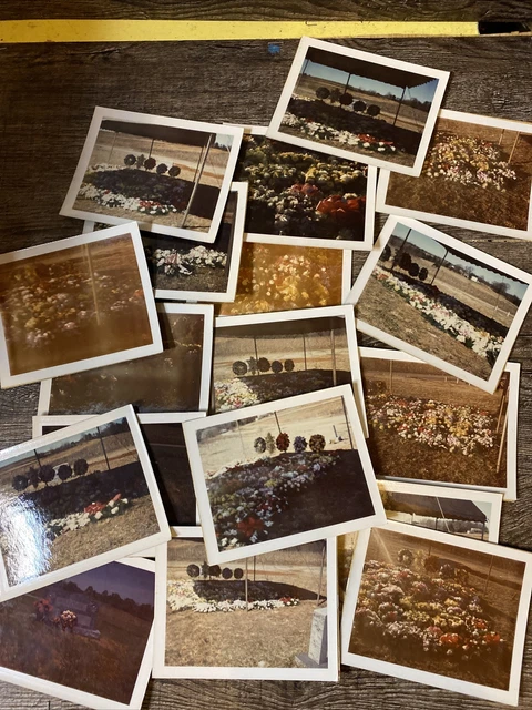POST MORTEM Graveside Flowers Funeral Dead vintage photo Polaroid Lot Of 20