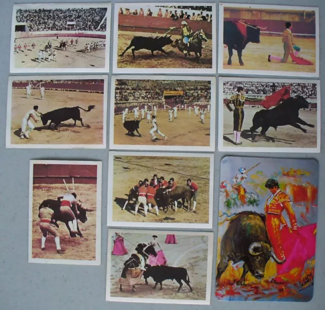 Bull Fight Fighting Tauromachy Card Collection BHOF