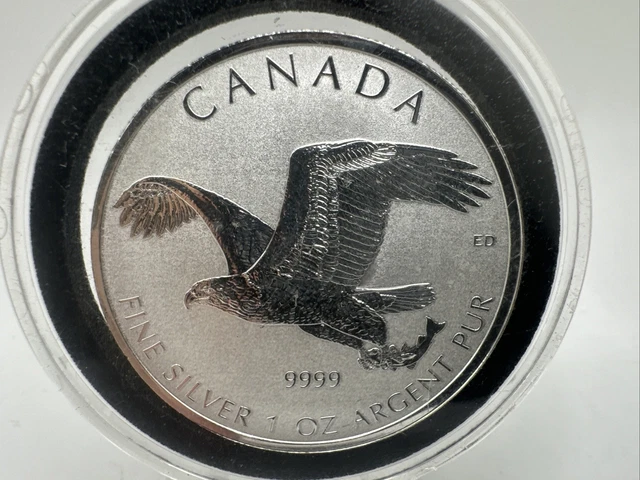 2017 P $1 WEDGE TAILED ENHANCED REVERSE PROOF SILVER EAGLE 1oz 0.9999