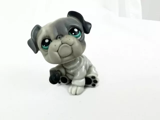 Littlest Pet Shop Gray Blue Eyes Bulldog Dog Figure - Hasbro 2007