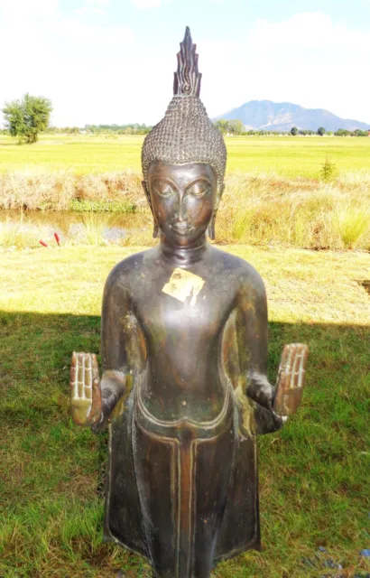 OLD Thai Style Ayutthaya Standing Bronze Protection Buddha Statue, Height 40'' 3
