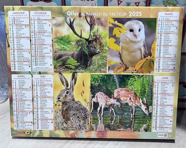 Calendrier 2025 avec Animaux : Un An de Douceur et de Compagnie