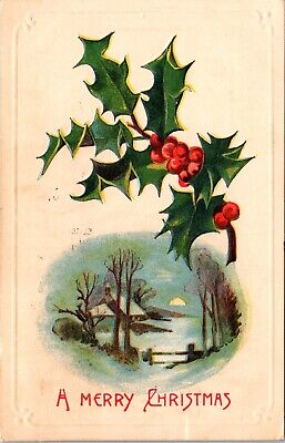 A Merry Christmas Snowy Farm Scene Holly c1909 Embossed Postcard