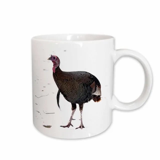 3dRose WILD TURKEY,  Mug