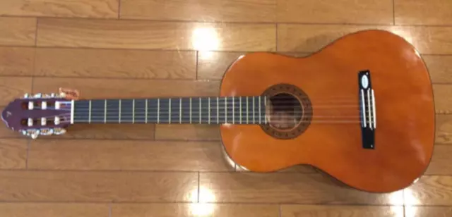 Classical Guitar Valencia