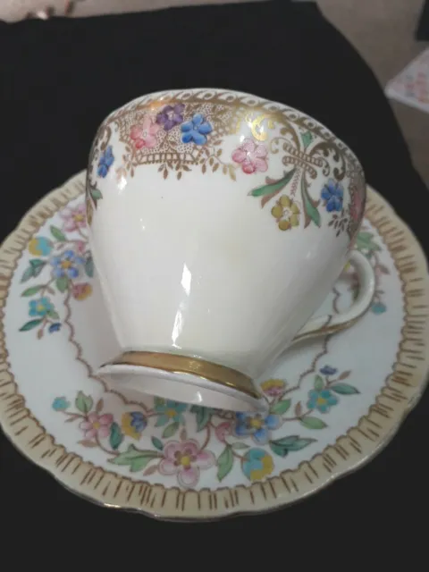 Vintage Foley China Teacup & Side Plate(SB4)