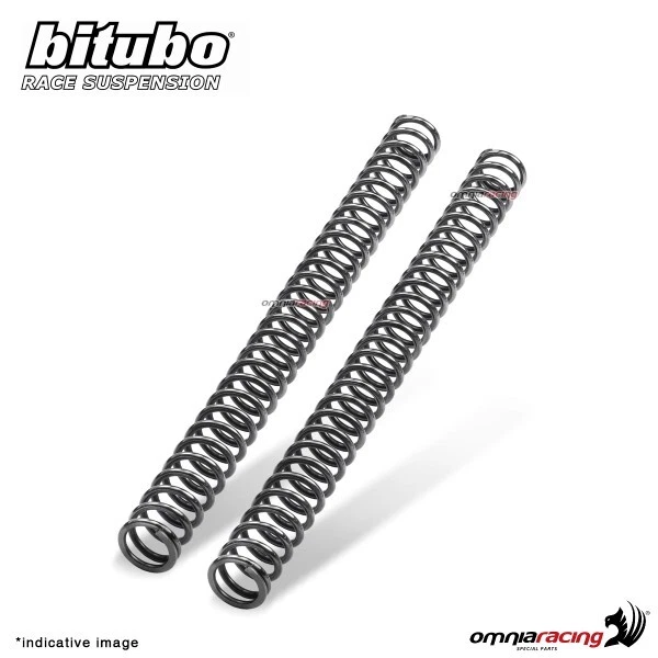 BITUBO MXFORK SPRINGS kit fork cartridges K=0.46 KTM 250XCF-W Champions ...