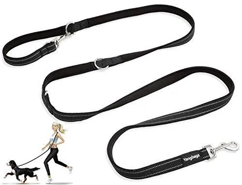 Yangbaga Laisse pour Chien Laisse Dressage réglable Chien Laisse en Nylon 4 L...