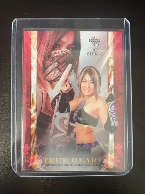 格闘技・プロレス [激レア]イヨ・スカイ 紫雷イオ 試合使用マスク 最低価格の サイン入り