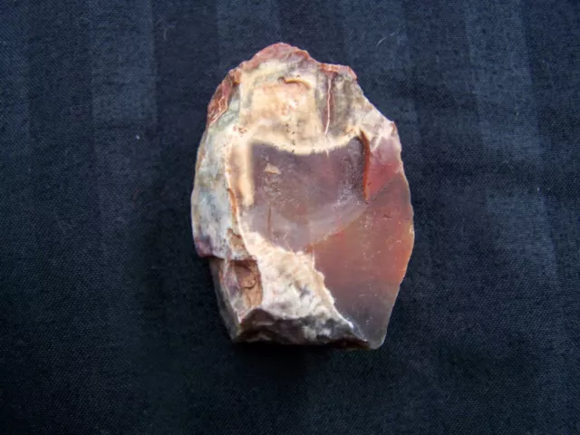 Arizona Rainbow Petrified Wood