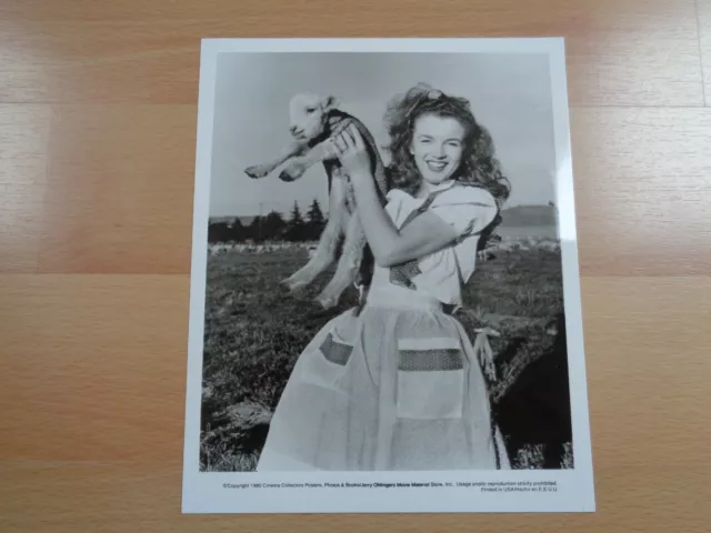 1945 Vintage Originale Marilyn Monroe Photo 25Cmx20Cm Photograph Andre De Dienes