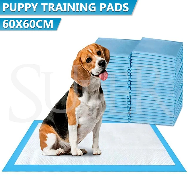 Pet Training Pads 400/200PCS Puppy Dog Toilet Pee Indoor Super Absorbent 60x60cm