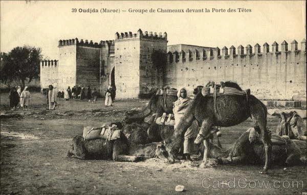 Morocco Oudja Groupe de Chemeaux devant la Porte des Tetes Postcard Vintage