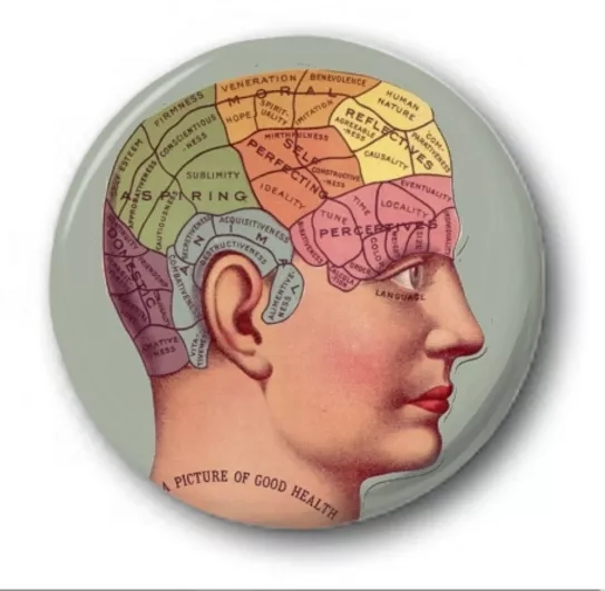 PHRENOLOGY HEAD - 25mm 1" Button Badge - Novelty Cute