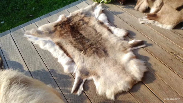 Reindeer hide skin rug pelt fur. Luxury home decor. Very soft fluffy area rug