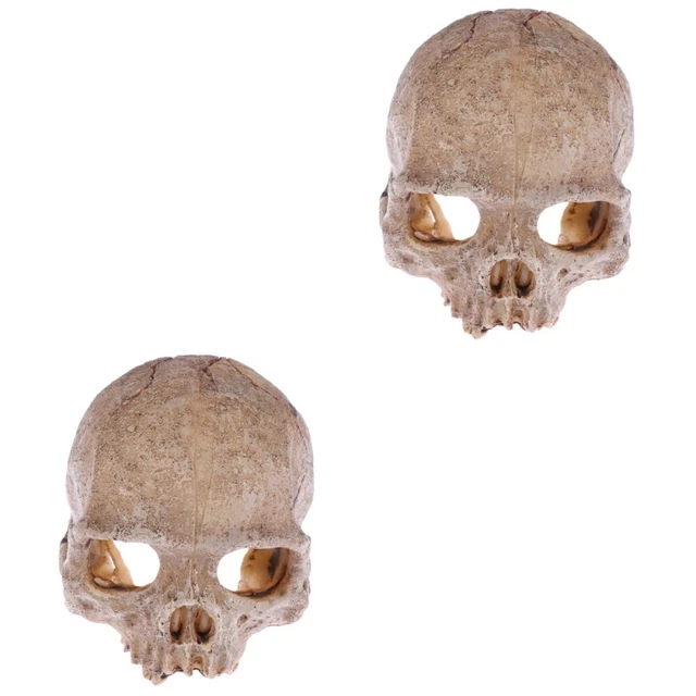 2 Pieces Décoration D'aquarium D'halloween Crâne De Dinosaure Un Verre
