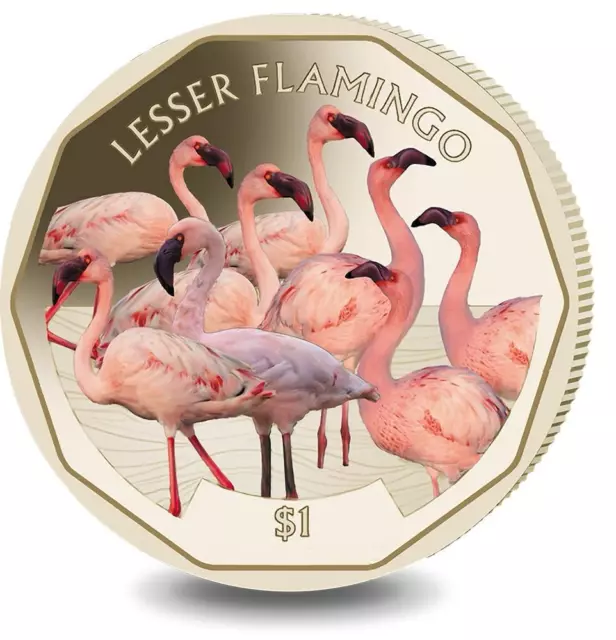 British Virgin Islands 2019 One Dollar $1 (Coloured Lesser flamingo) - Ch-Unc
