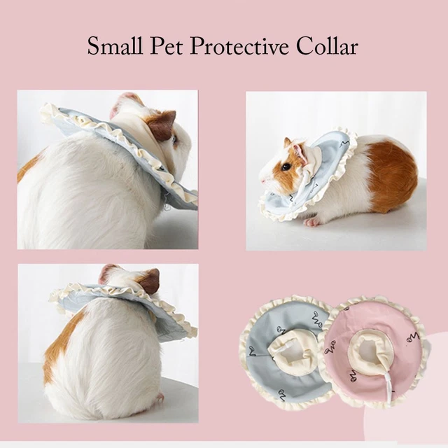 Col de récupération Collier pour animaux de compagnie Cône de cou mignon