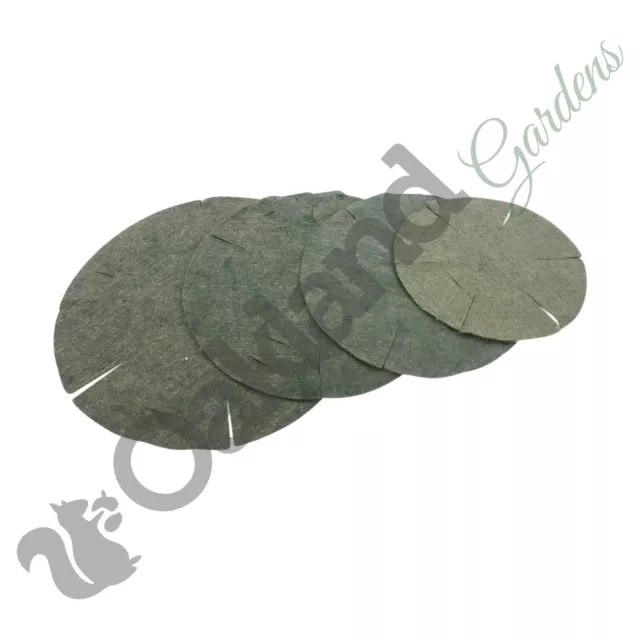 Cesto sospeso naturale fodera iuta verde 12"" 14"" 16"" 18"" fioriera giardino fibra