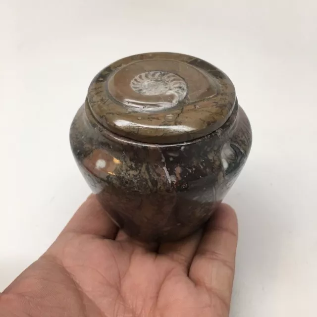 282g, 2.6"x2.7" Small Round Fossils Ammonite Brown Jewelry Box @Morocco,MF845