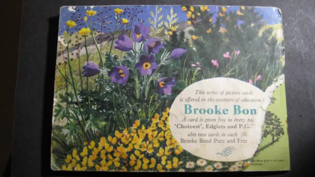 Old Brooke Bond Album With 50 Wild Flower Cards