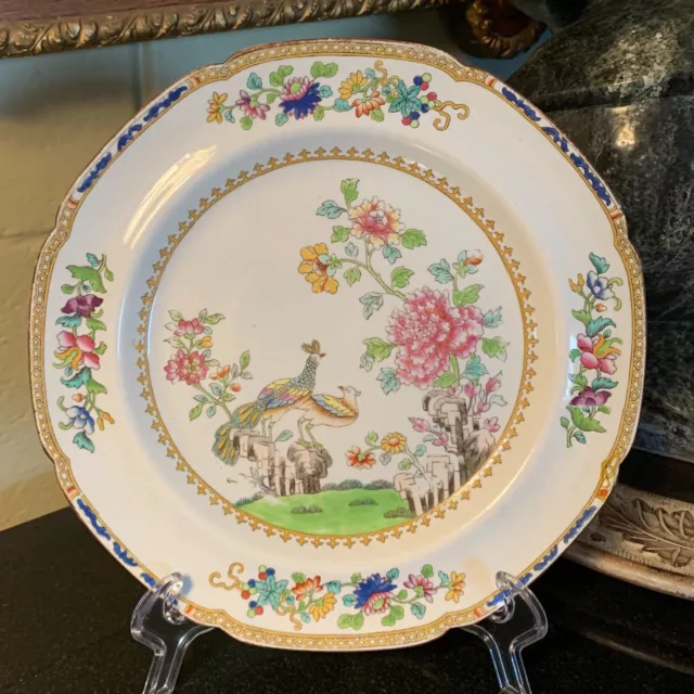 c.1830 Spode's New Stone Peacock 9 1/2" Dinner Plate Asian Design #2118 England