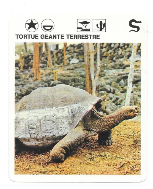 Fiche - Le livre de Paris - 1975 - Tortue géante terrestre