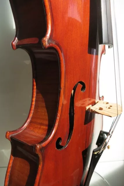 Bellissimo violino vecchio François Salzard c.1840... bellissimo maestro francese violino antico 3