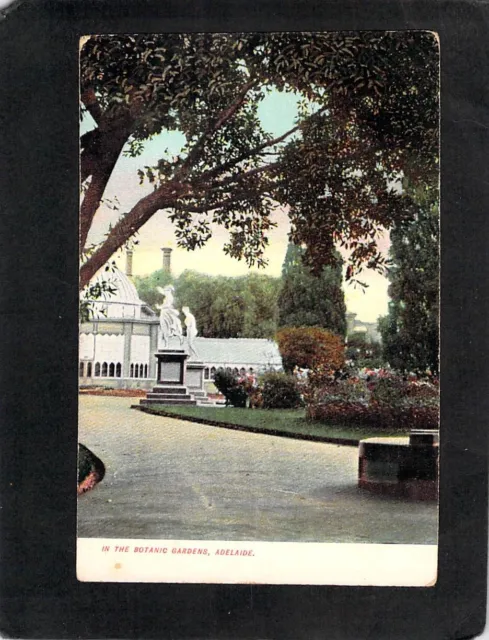 D4732 Australia SA Adelaide In The Botanic Gardens vintage postcard