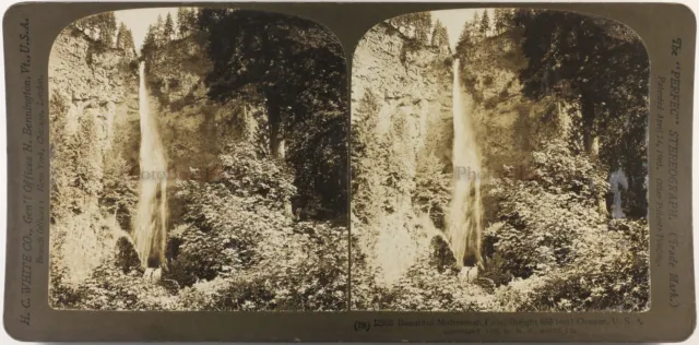 US USA Multnomah Falls Oregon Foto Stereo Vintage 1905