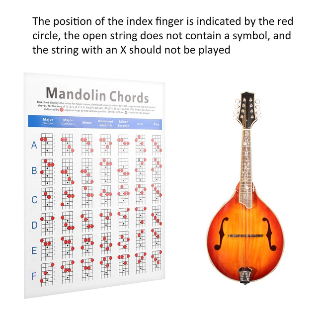 PRACTICAL MANDOLIN CHORD Chart Fretboard Notes Coated Paper For