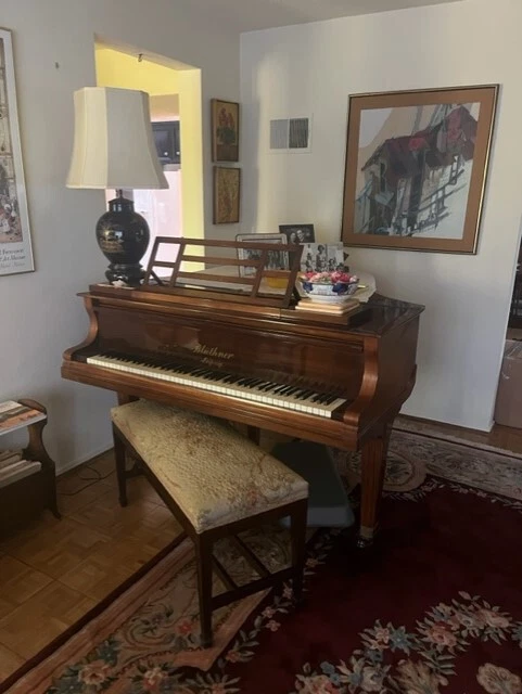 Unique Bluthner Indian Rosewood 6' Baby Grand Piano, hand-built in Leipzig, 1913