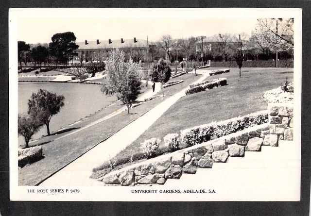 C4411 Australia SA Adelaide University Gdns #9479 vintage Rose Series postcard