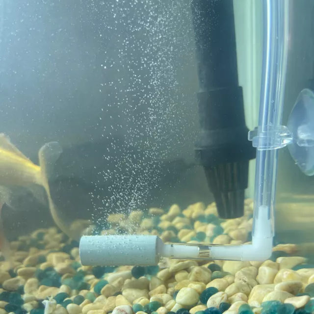 Diffusore CO2 acquario regolatore sistema CO2 atomizzatore spruzzatore acquario acquario React ZR
