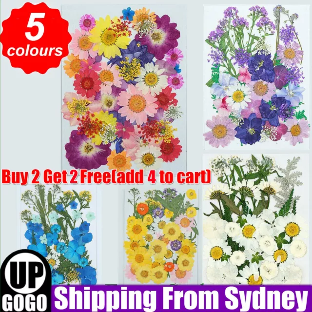 Pressed Mixed Dried Flowers DIY Art Floral Decors Collection Gift Craft Making