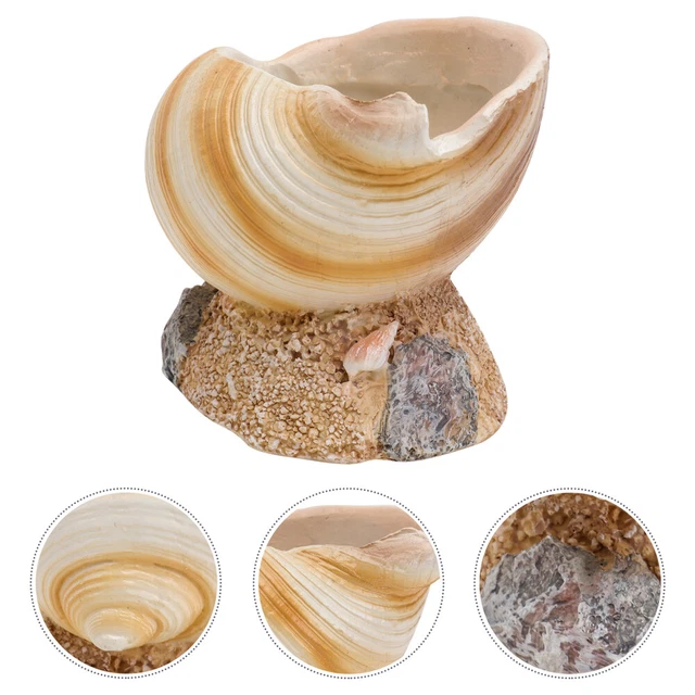 POTS POT Ocean Blue Series Conch en forme de résine Pottes Pot Intérieur