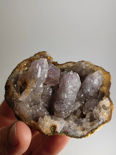 🔥Quarz Amethyst Druse Geode, Marokko 🔥