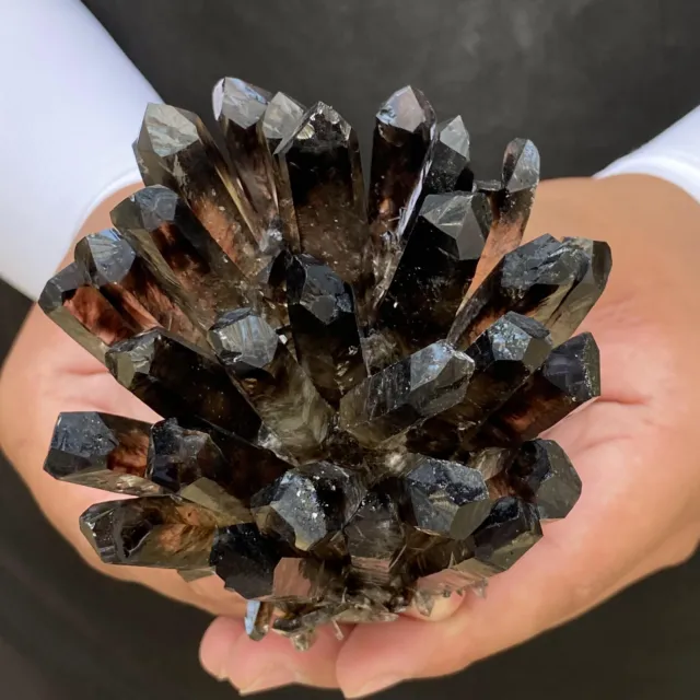 563G New Find black Phantom Quartz Crystal Cluster Mineral Specimen Healing