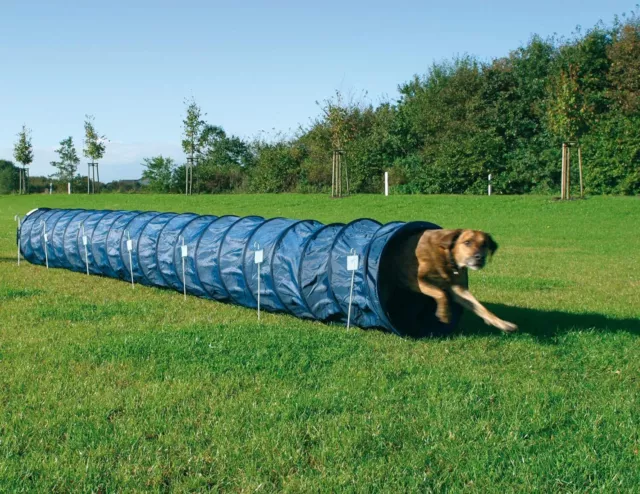 Trixie Dog Activity Agility Basic Tunnel, 60 cm ? 5 m, Blue