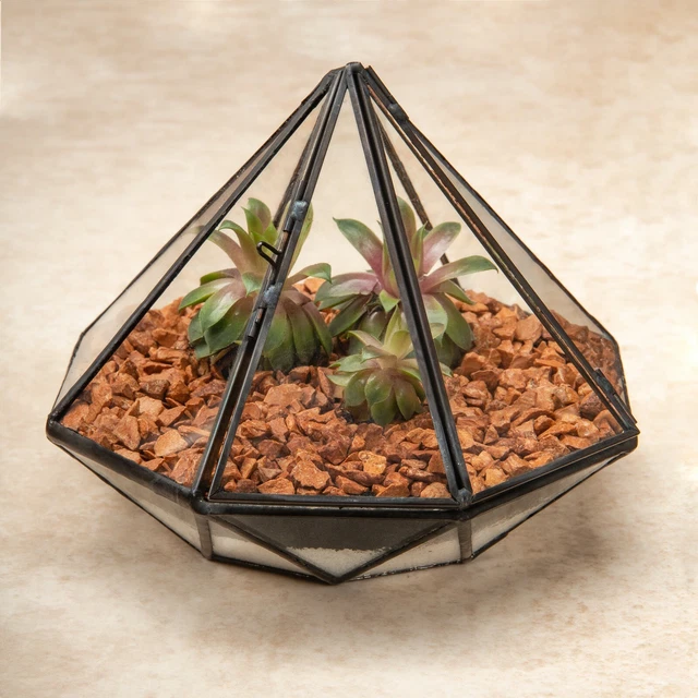 Glass Geometric Diamond Terrarium Tabletop Moss Plant Flower Display Planter UK